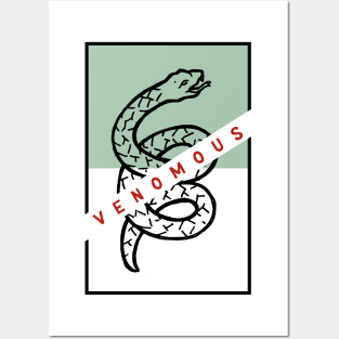 SNAKE Posters and Art